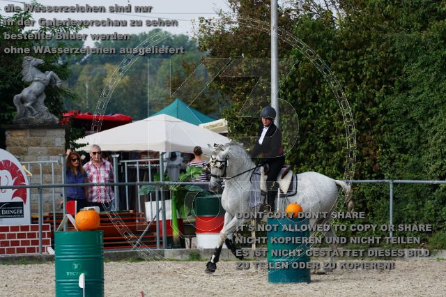 s_DSC04858.JPG